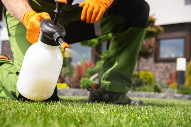 Best Termite Control Services  in Rensselaer, IN