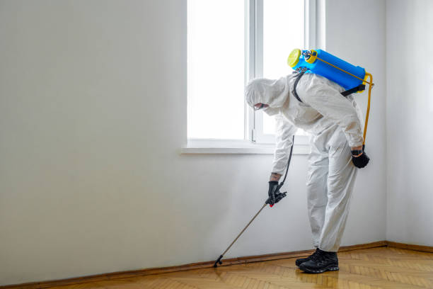 Pest Control for Restaurants in Rensselaer, IN