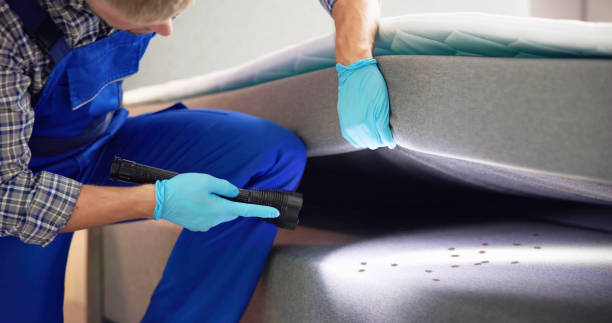 Best Pest Removal Services  in Rensselaer, IN