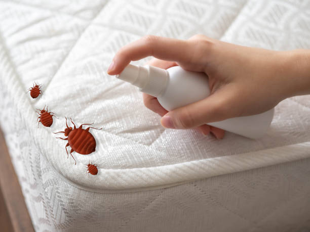 Best Affordable Pest Control Services  in Rensselaer, IN