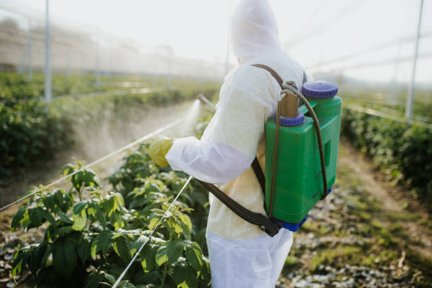 Best Flea Control Services  in Rensselaer, IN